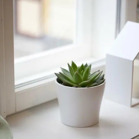 Apartment Niine *